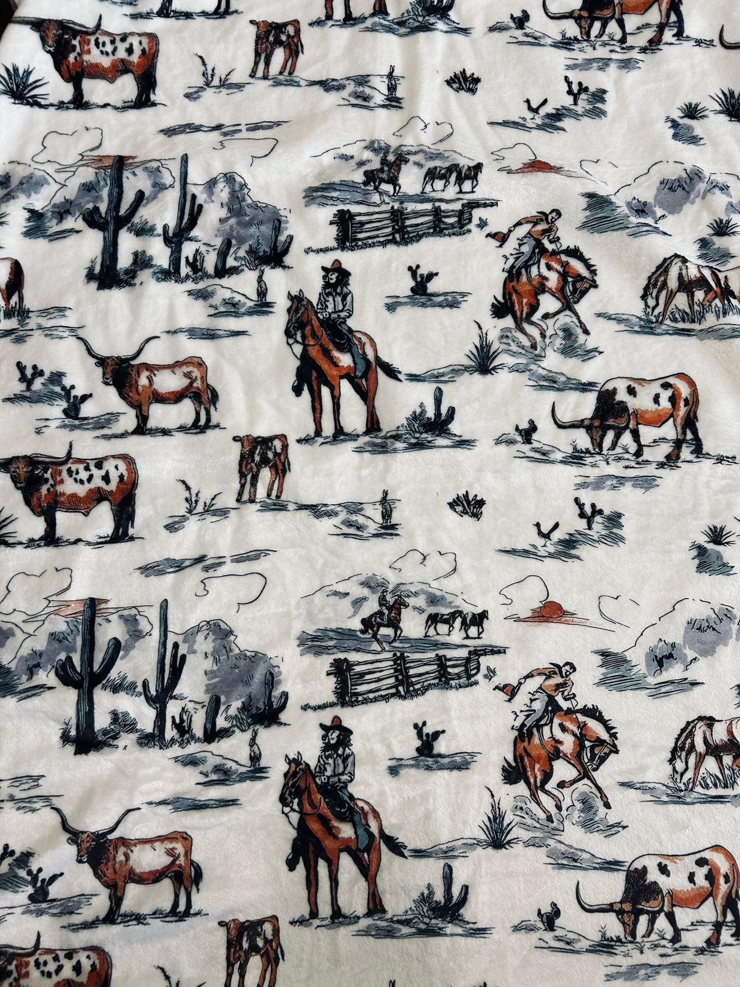 LP Western Blanket